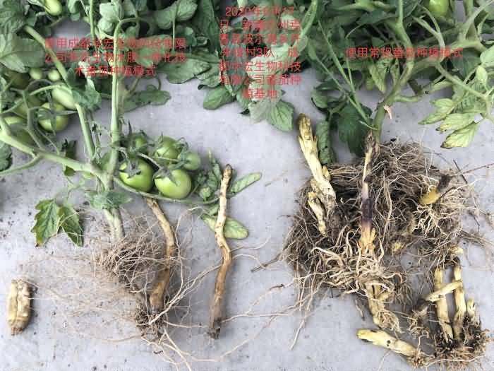 微信圖片_20200618171215.jpg 微信圖片_20200618171215.jpg